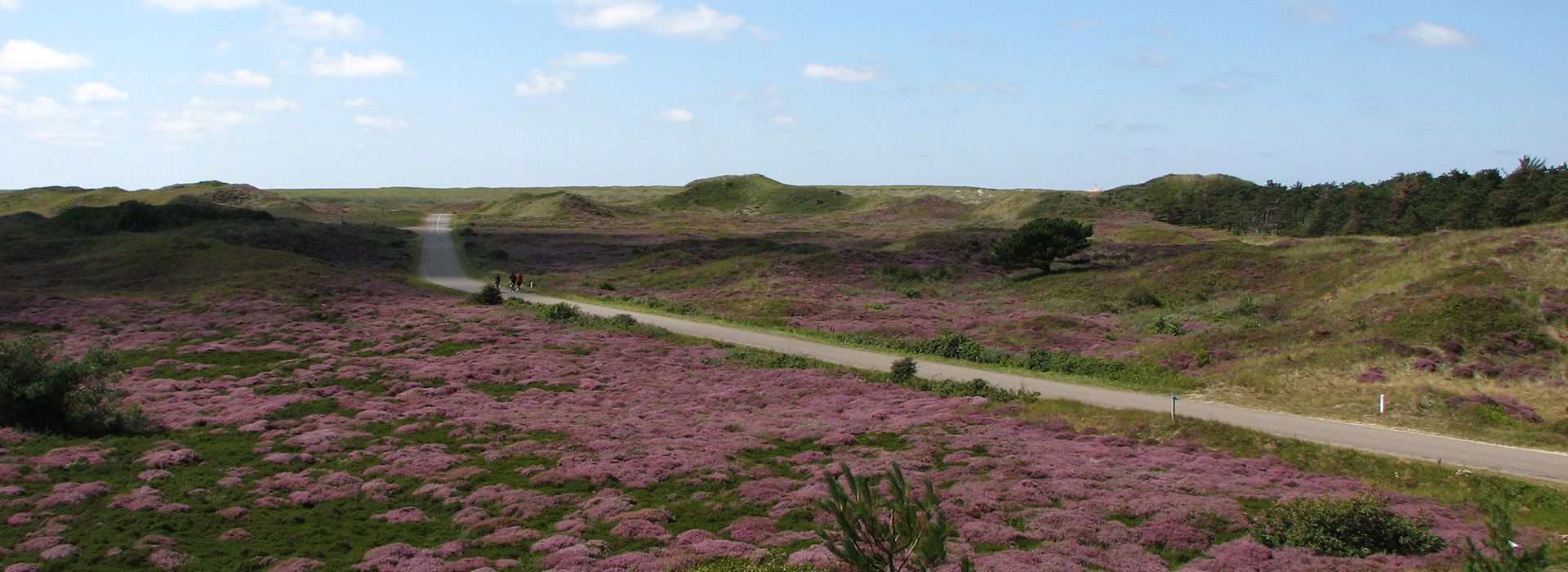 Tot rust komen op Texel